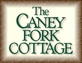Main Logo